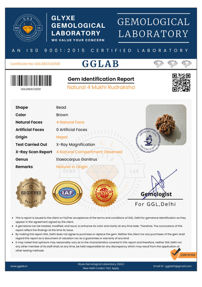 Nepal Origin 4 Mukhi Rudraksha