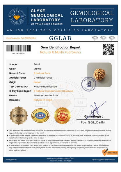 Nepal Origin 6 Mukhi Rudraksha
