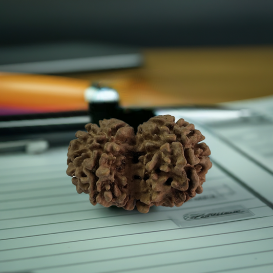 Gauri Shankar Rudraksha